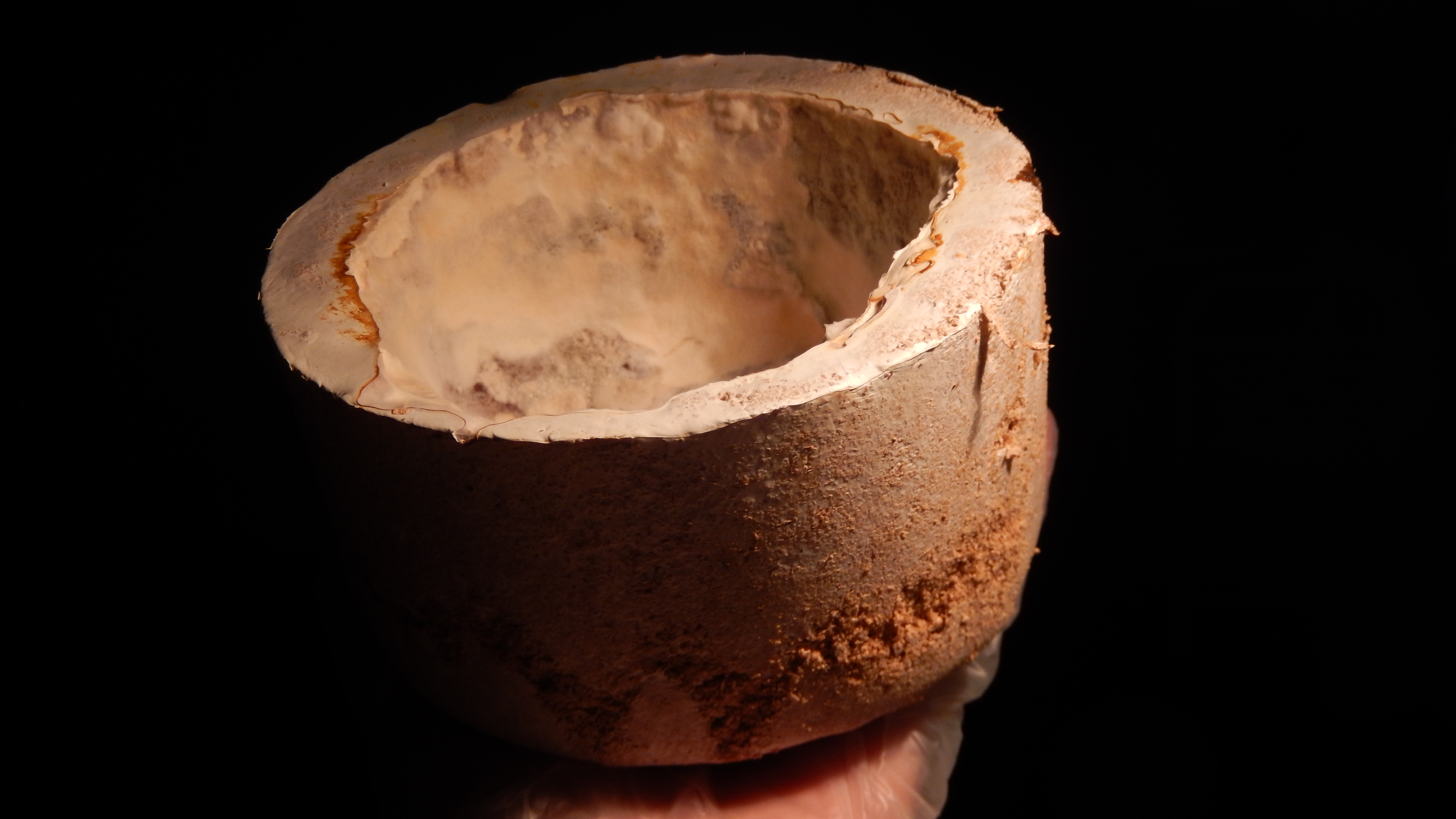 Biomateriales: co-elaborar mundos